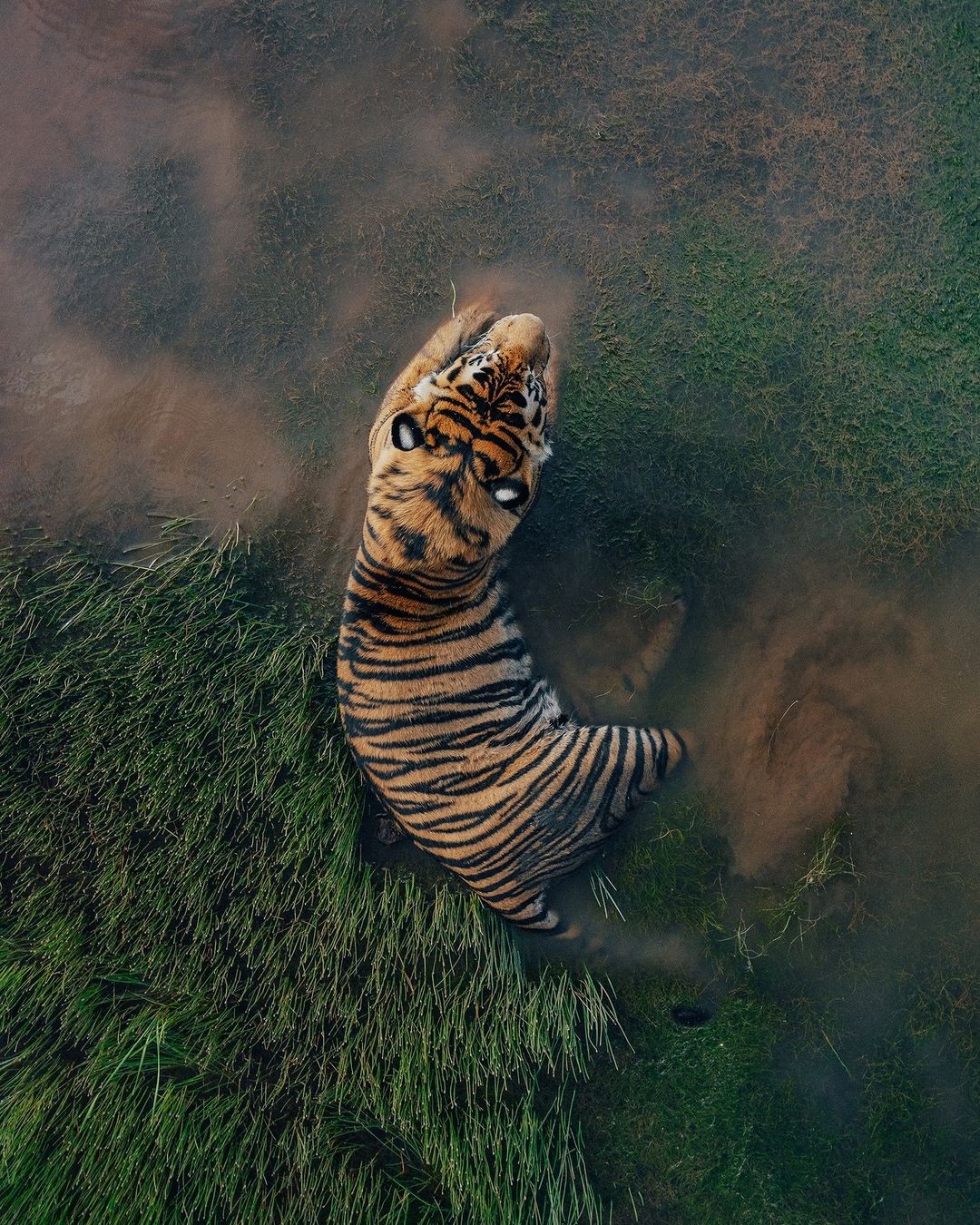 Sept questions cruciales à poser avant de choisir votre agence digitale (pour garantir un partenariat réussi et éviter les dérapages)